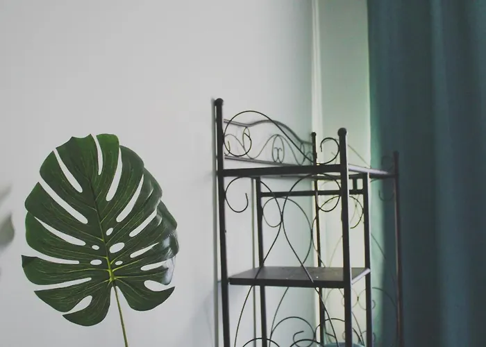 住宿加早餐酒店 Casa Do Campo 佩尼契